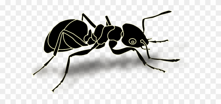 Ant Png Transparent #419984