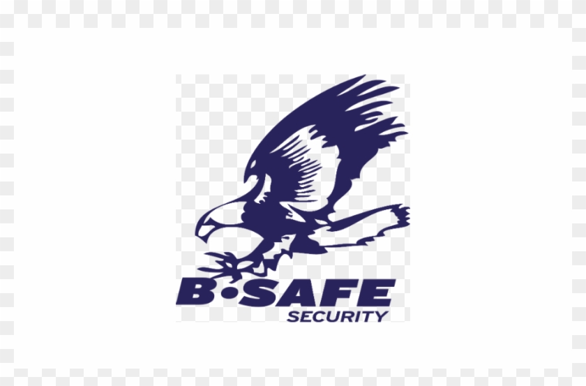 B Safe Makes Third Acquisition Of 2018, B Alarmed - Red-tailed Hawk #420057