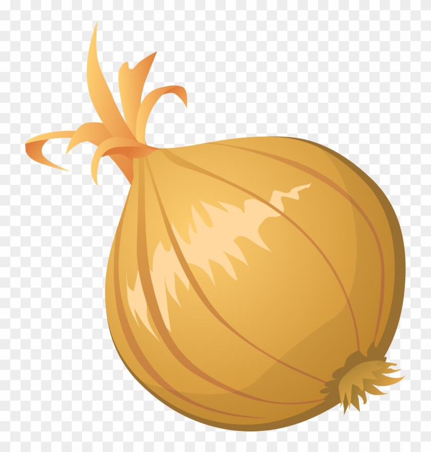 Free To Use &, Public Domain Onion Clip Art - Onion Clipart #420103