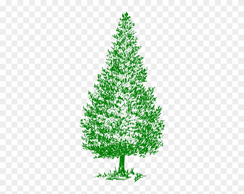 Greencedartree Clip Art At Clkercom Vector Online Royalty - Cedar Tree Clip Art #420135