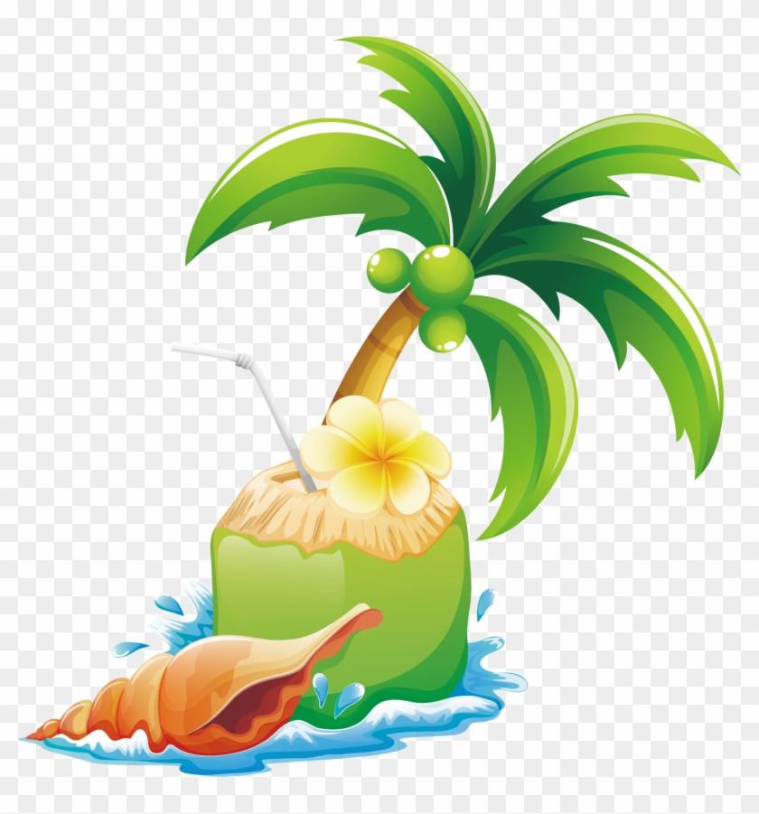Coconut Arecaceae Tree Illustration - Frames For Taking Pictures For Beach Theme #420162