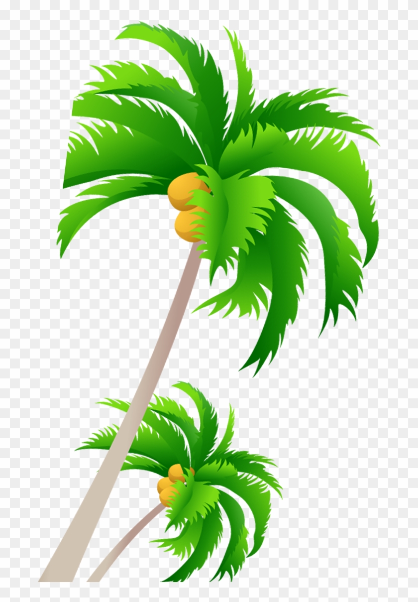 Tree Coconut - Coconut Tree - Tree Coconut - Coconut Tree #420327