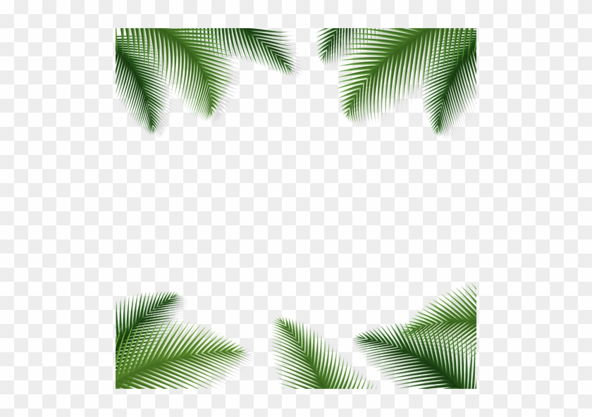 Palm Leaves Floral Background Transparent Png - Transparent Background Palm  Tree Leaves Png - Free Transparent PNG Clipart Images Download