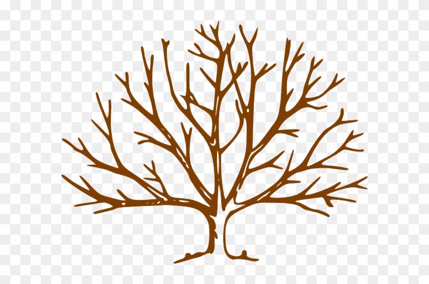 Clip Art Tree No Leaves - Tree Without Leaves Drawing #420427