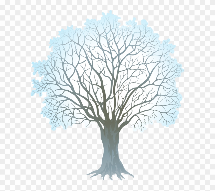Barren Clipart Winter Tree - Winter Tree Transparent Background #420438