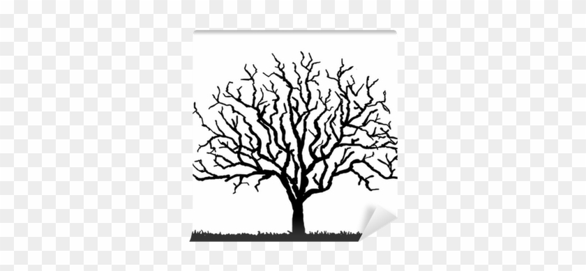 Black Tree Silhouette With No Leaves, Vector Illustration - Tree No Leaves Silhouettes #420444