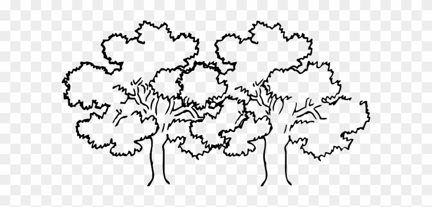 Narra Tree Clipart Black And White - Tree Drawing Black And White #420482