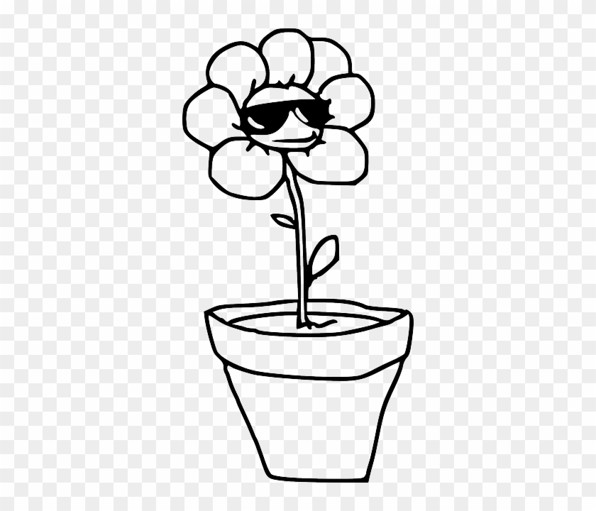 Plant, Pot, Potted Plant, Sunglasses, Spring - Flower B W #420536