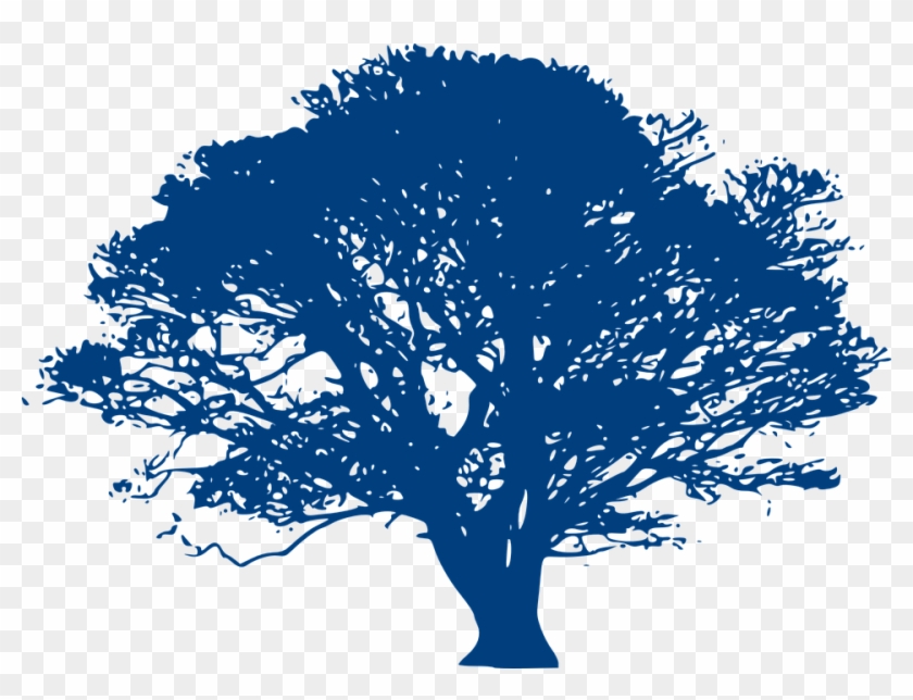 Simple Tree Silhouette 20, Buy Clip Art - Blue Oak Tree Clipart #420594