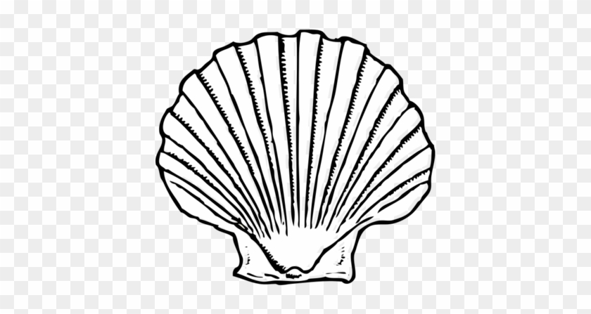Seashell Clipart Black And White Bclipart Free Clipart - Scallop Shell Clip Art #420598