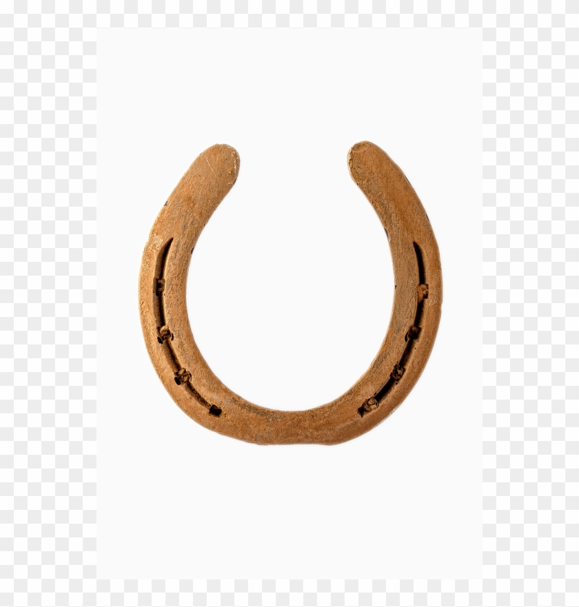 Horseshoe 75g - Earrings #420696