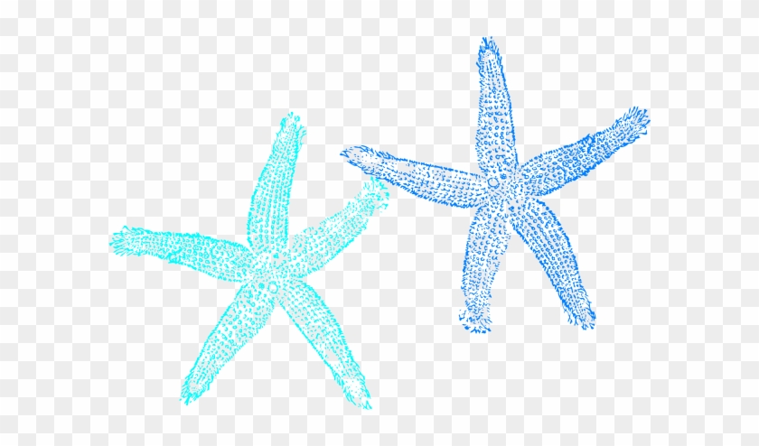 Vector And Starfish Coral Color Search For S 9256 Favorite - Transparent Background Starfish Png #420716
