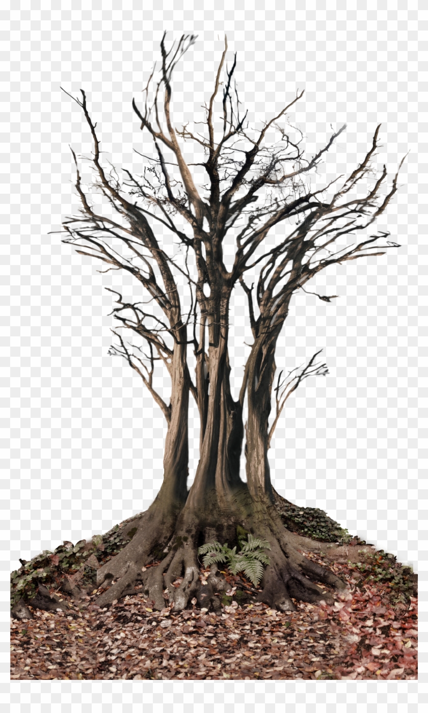 Dead Tree In Landscape Png Stock Photo 0361 By Annamae22 - Dead Tree Png #420741