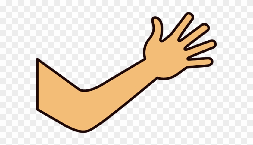Hand To Elbow Clip Art #420770