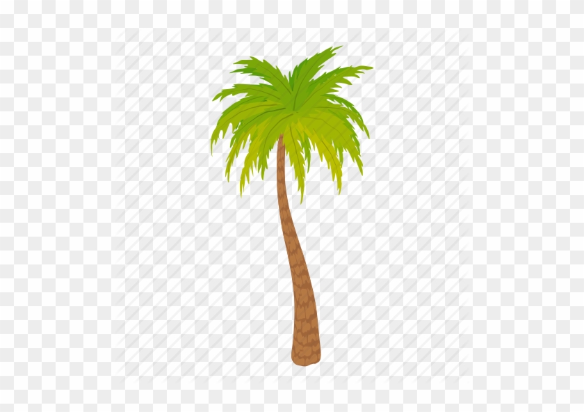 Palm Trees Cartoon - Palm Tree Vector #420774