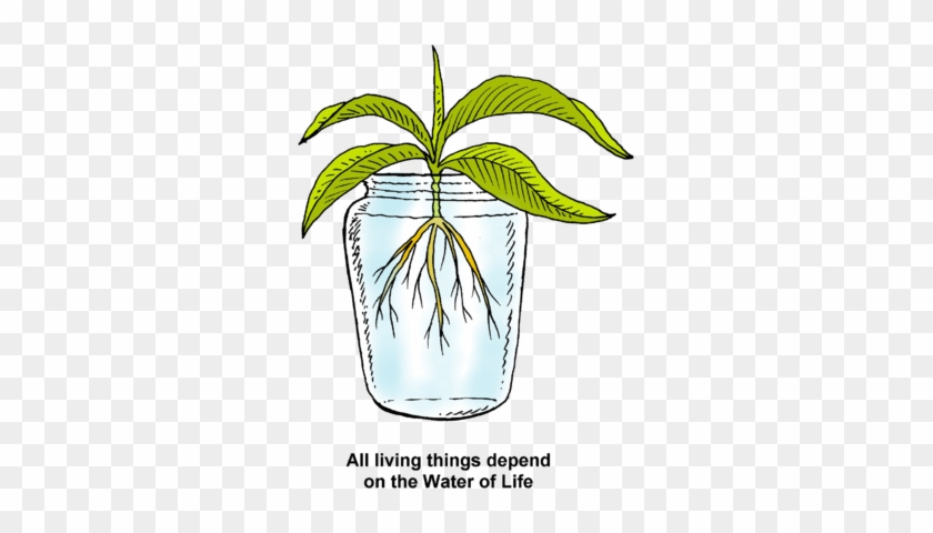 Dependent Clipart - Living - Water Of Life Clip Art #420836
