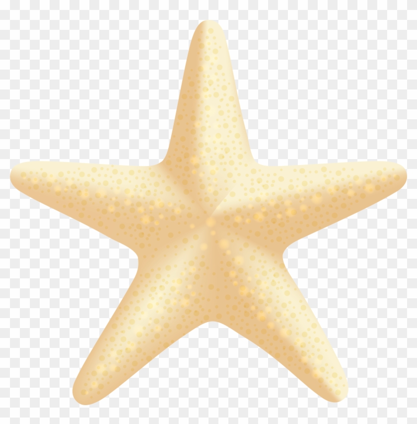 Sea Star Png Clip Art Image - Sea Star Png Clip Art Image #68961