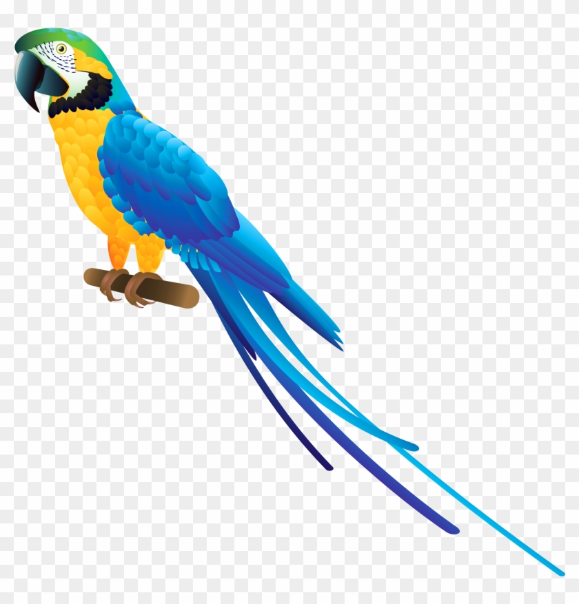 Blue Parrot Png Clipart - Blue Parrot Png #68957