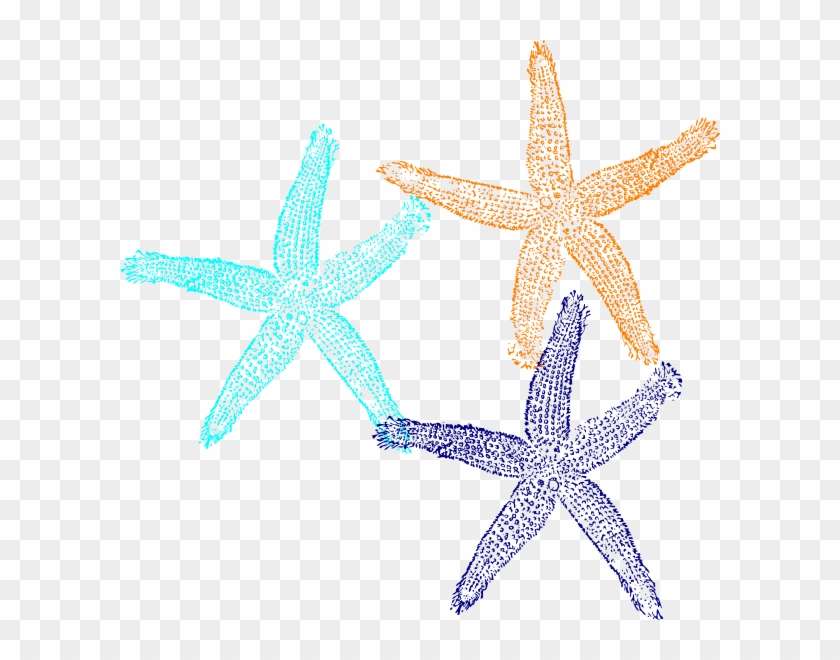 Starfish Svg Clip Arts 600 X 580 Px - Fish Clip Art #68988