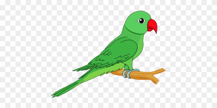 Parrot Green Clipart - Parrot Images Clip Art #68995