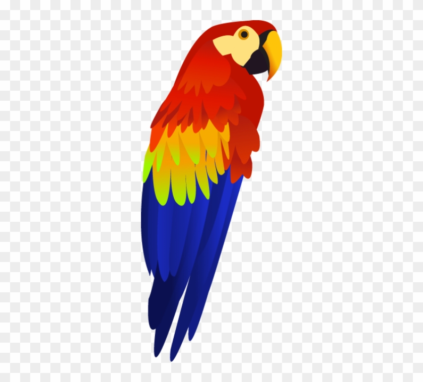Best Free Parrot Transparent Png File - Parrot Clipart Transparent Background #69016