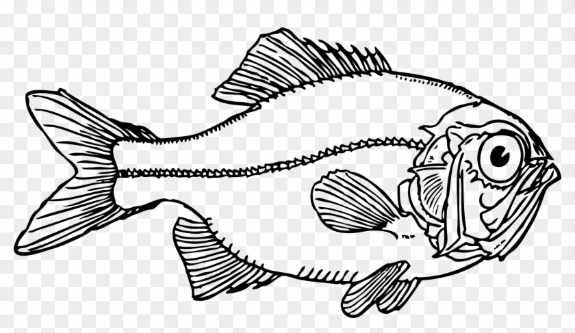 Ugly Fish Black White Line Art Coloring Book - Fish Clip Art #69056