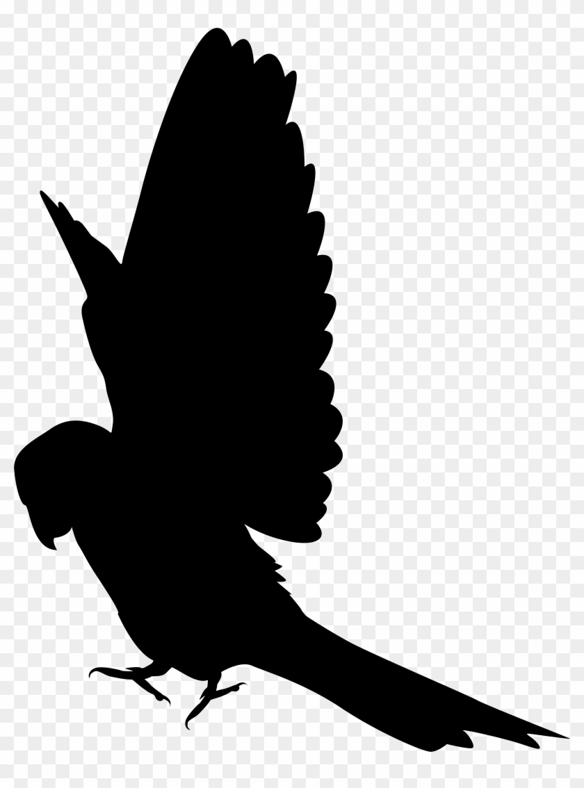 Parrot Silhouette Clip Art Png Imageu200b Gallery Yopriceville - Parrot Silhouette Clip Art #69149