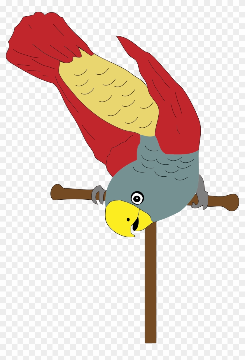 Parrot On Perch - Perch Clipart #69271