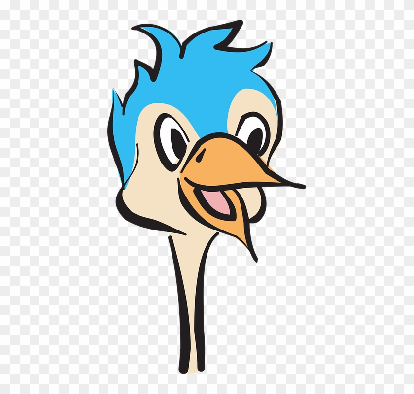Beak Clipart Bird Face - Ostrich Head Clipart #69281