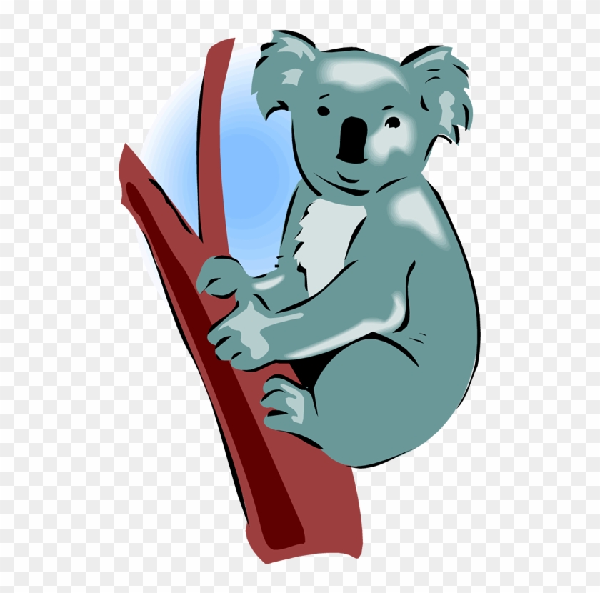 Koala Bear Clipart - Koala #69336