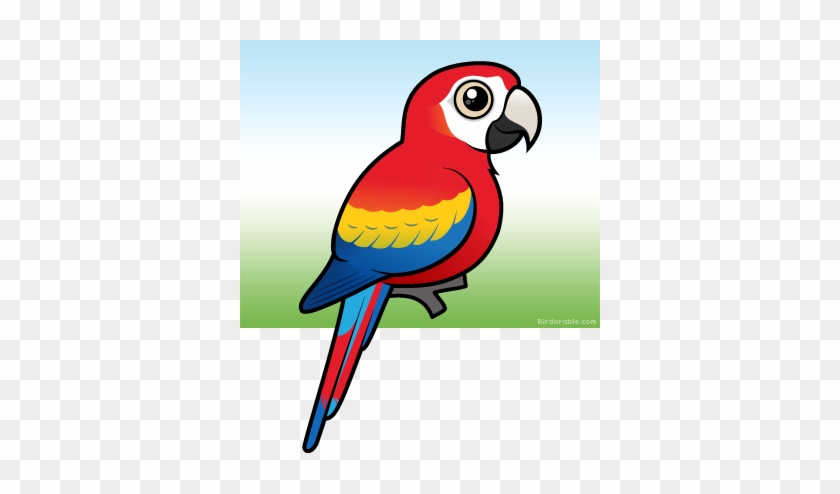 Scarlet Macaw Macaw Clipart #69355