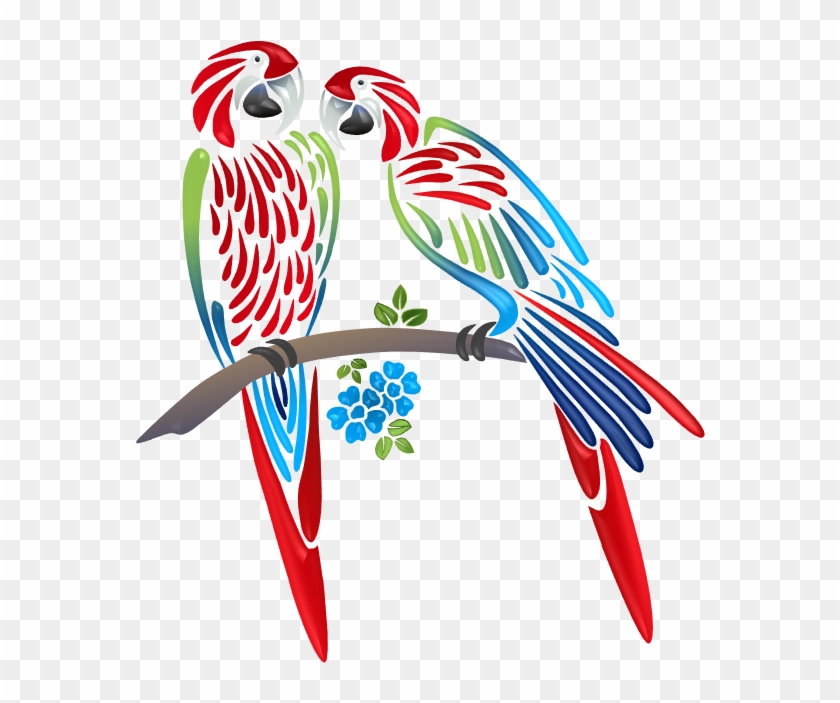 Parrots Illustrations - Illustration #69478