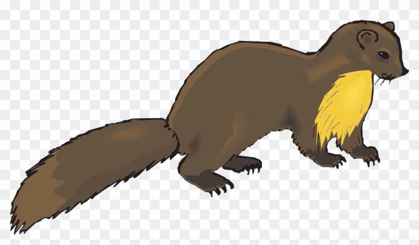 European Pine Marten Weasel Otter Mink Clip Art - Mink Clipart #69524