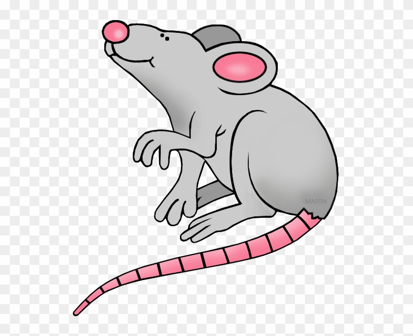 Rat - Clip Art #69605