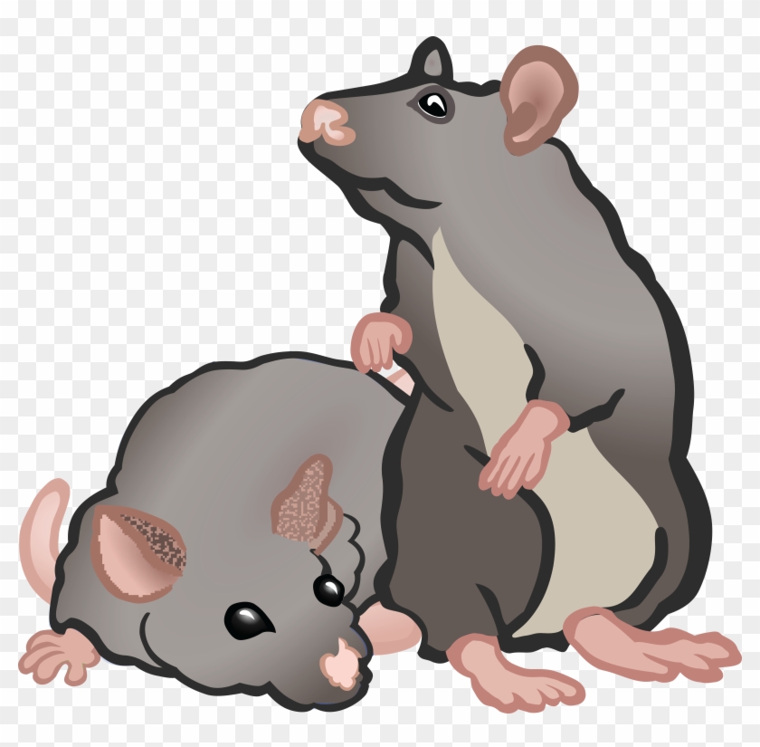 Free Clipart Of Rats Or Mice - Clipart Mäuse #69612