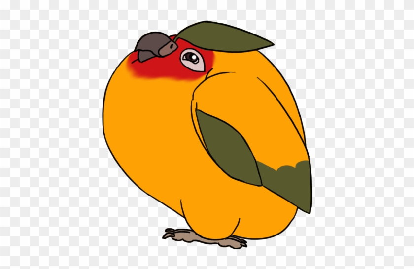 Mango Clipart Png - Mango The Sun Conure #69608