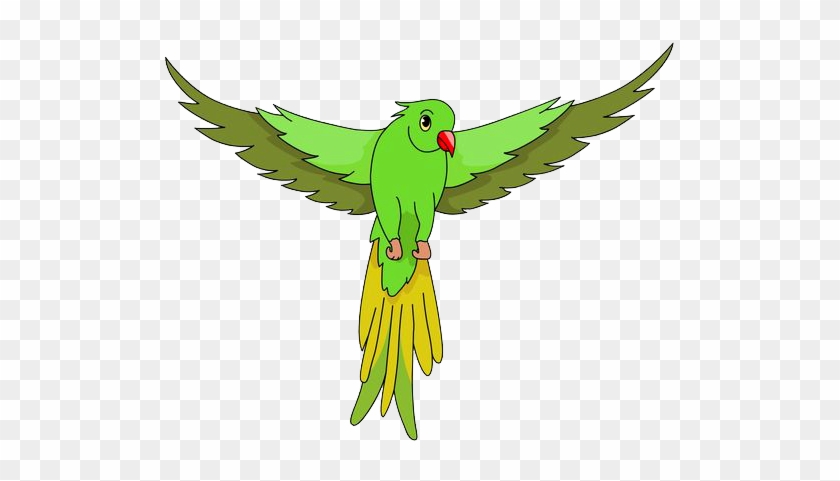 Flying Parrot Clipart - Green Parrot Clipart #69614