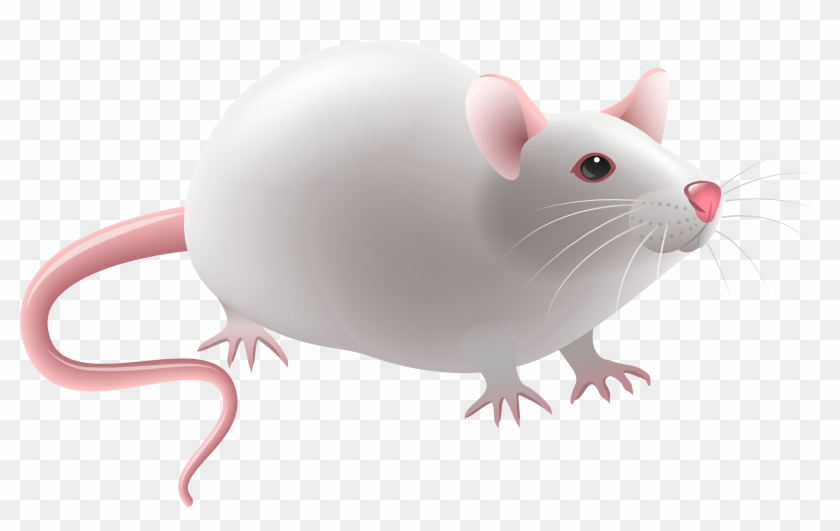 Mouse Png Clip Art - Experimental Mouse Illustration #69648