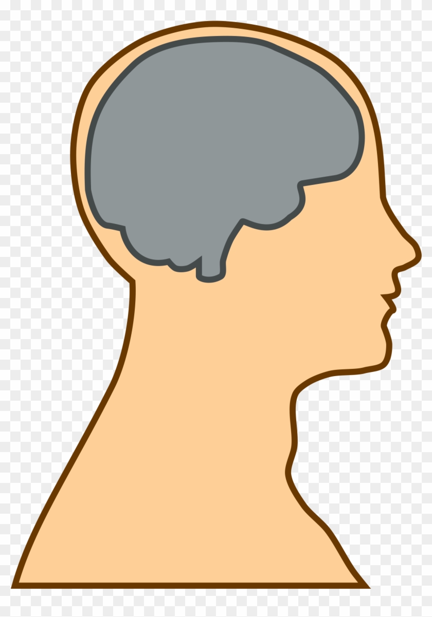 Big Image - Cartoon Head With Brain #69733