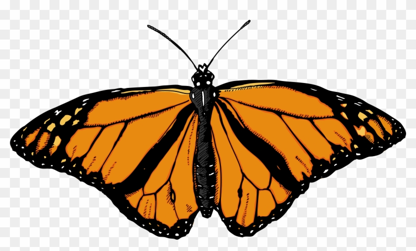 Monarch Butterfly Clipart Image - Butterfly Png #70145