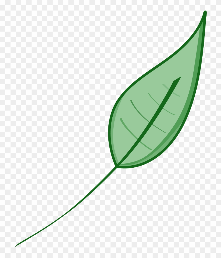 Leaf Green Leaves Clip Art Dromgdi Top - Green Leaf Clip Art #70288