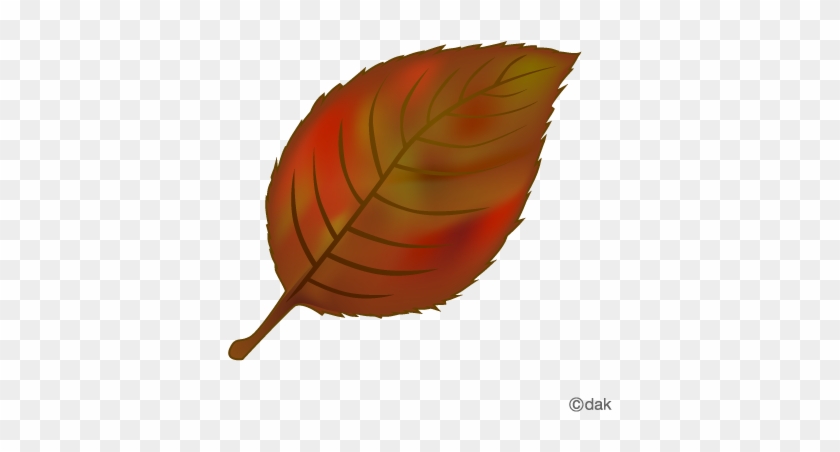 Fallen Leaves With Autumn Leaves｜pictures Of Clipart - イラスト 落葉 背景 透明 #70309