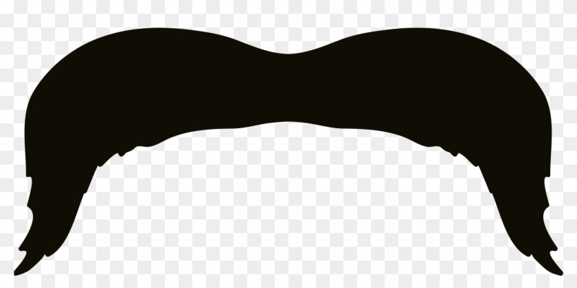 Bumper Sticker - Moustache #70452