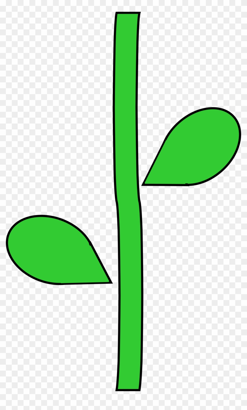 Stem Clipart - Plant Stem Clipart #72069