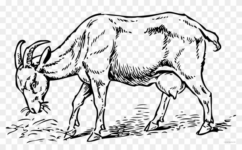 Goat Clip Art #72319