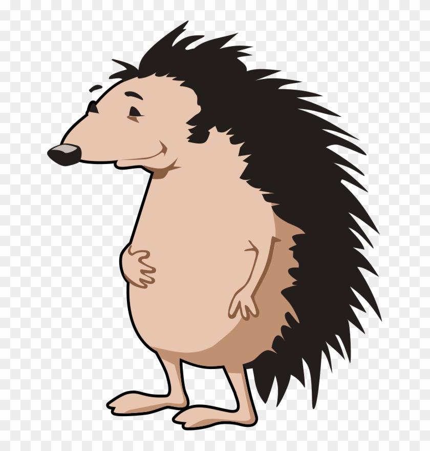 Hedgehog Art 555px - Porcupine Clip Art #72605