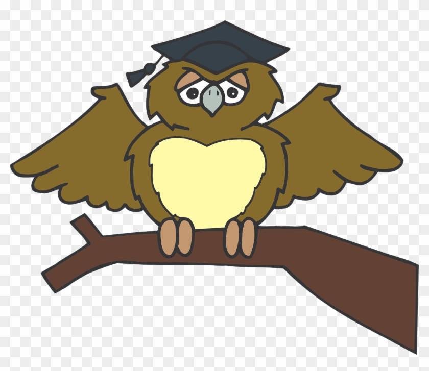 Owl Graduate Sitting Tree Branch Brown Wearing - Owl Graduation Clip Art Png #72796