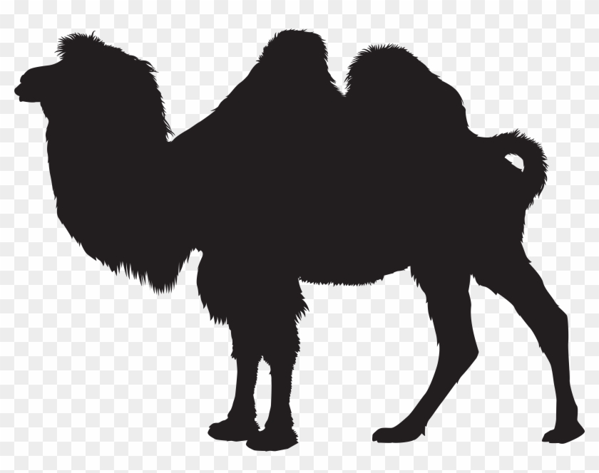 Camel Silhouette Png Clip Art Imageu200b Gallery Yopriceville - Portable Network Graphics #73772