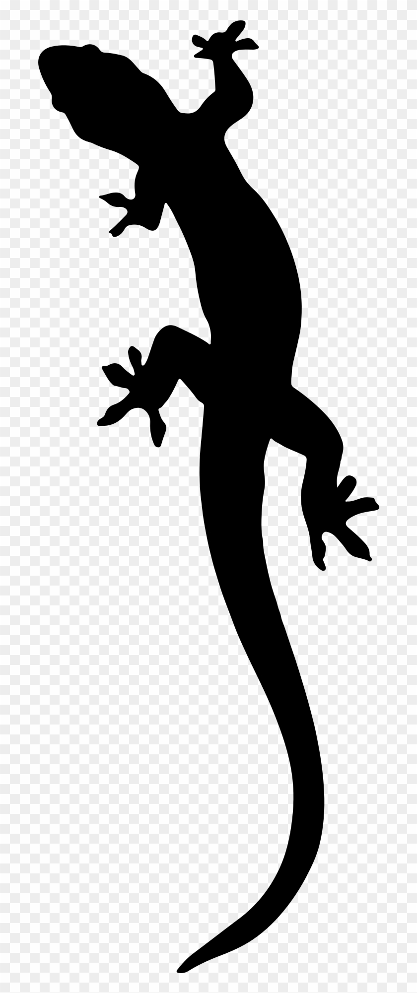 Big Image - Salamander Silhouette #73881