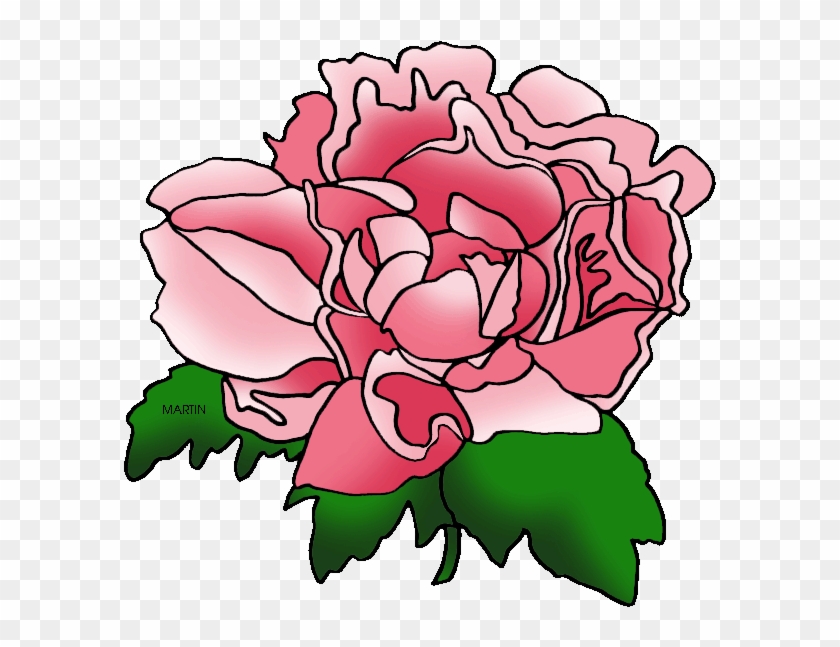 Indiana State Flower - Peonies Flower Clip Art #74314